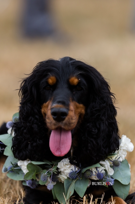 Hampshire Wedding  