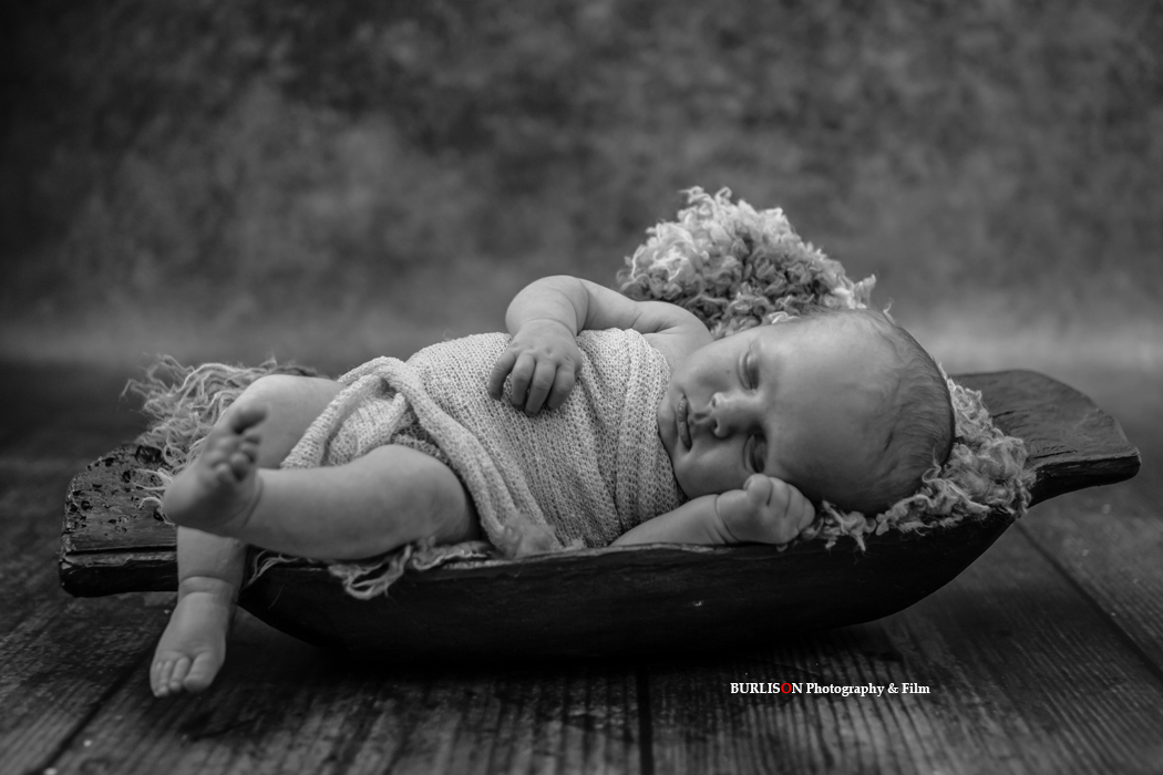 Newborn Portraits