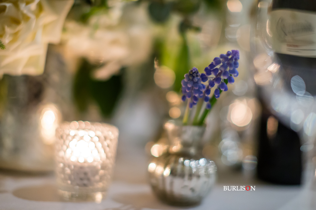 White Lilac Flowers