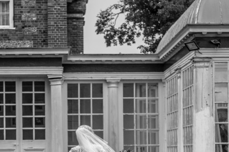 Winchester Wedding